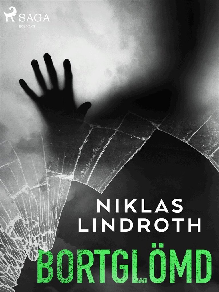 Niklas Lindroth - Bortglömd, E-bok