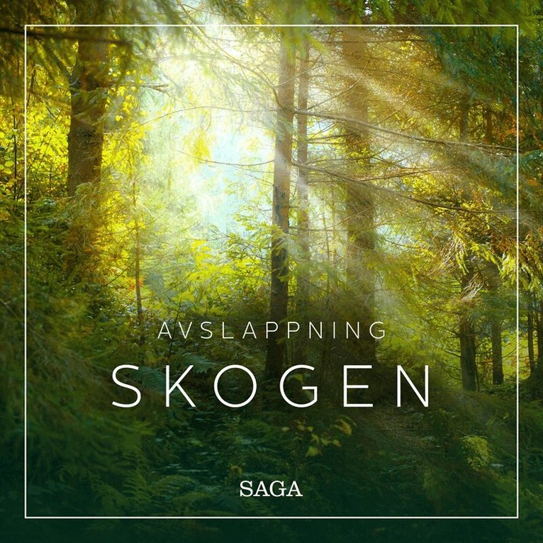 Rasmus Broe - Avslappning - Skogen, Ljudbok