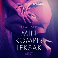 Min kompis leksak - erotisk novell