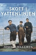 Skott i vattenlinjen
