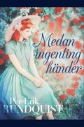 Medan ingenting hnder