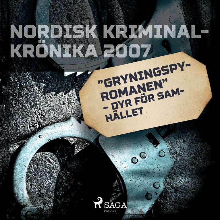 Diverse - 'Gryningspyromanen' – dyr för samhället, Ljudbok