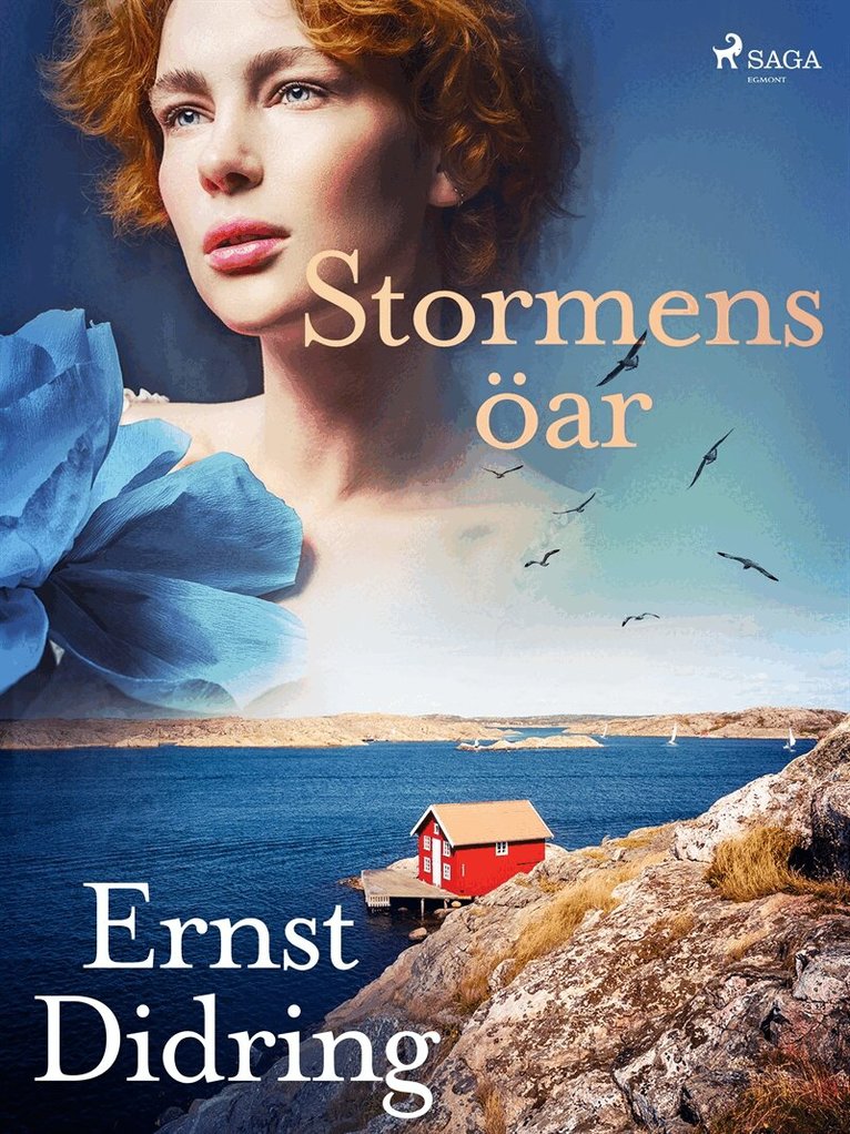 Ernst Didring - Stormens öar, E-bok