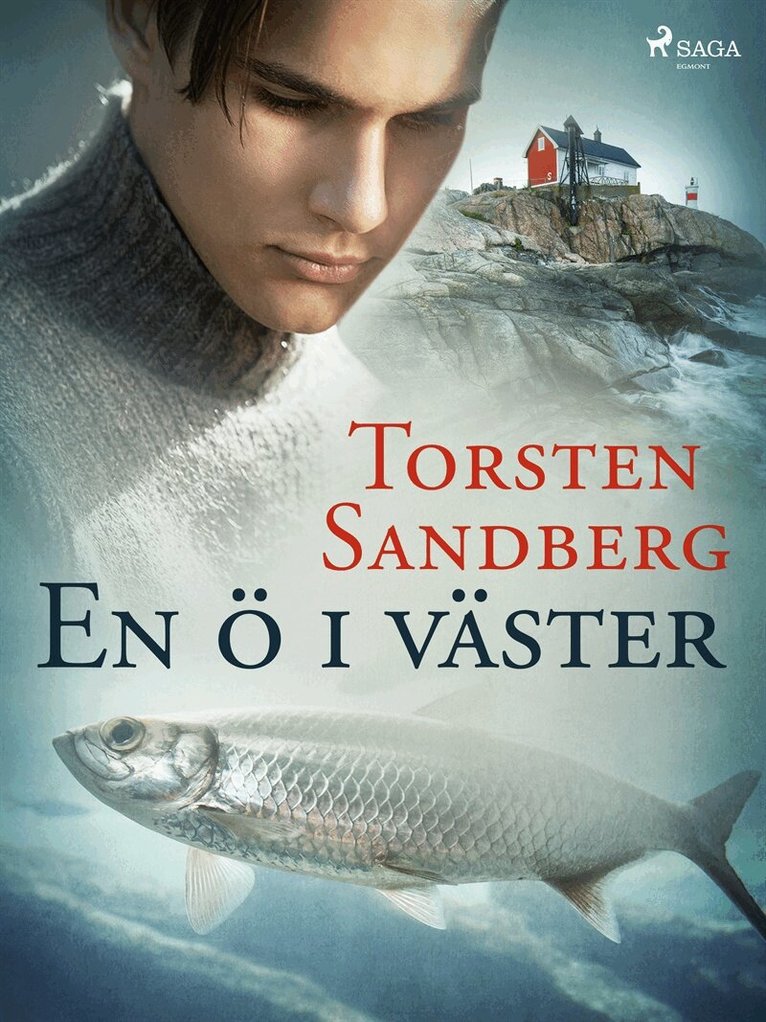Torsten Sandberg - En ö i väster, E-bok