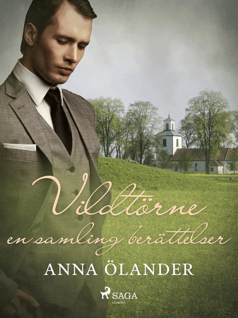 Anna Ölander - Vildtörne: en samling berättelser, E-bok