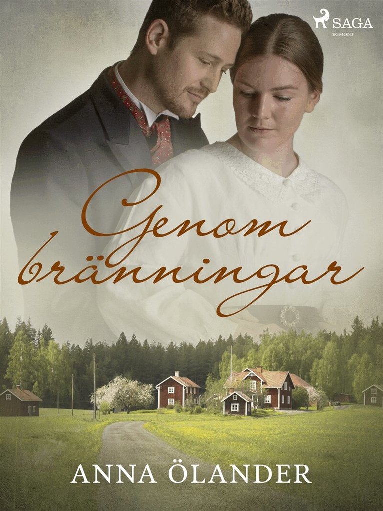 Anna Ölander - Genom bränningar, E-bok