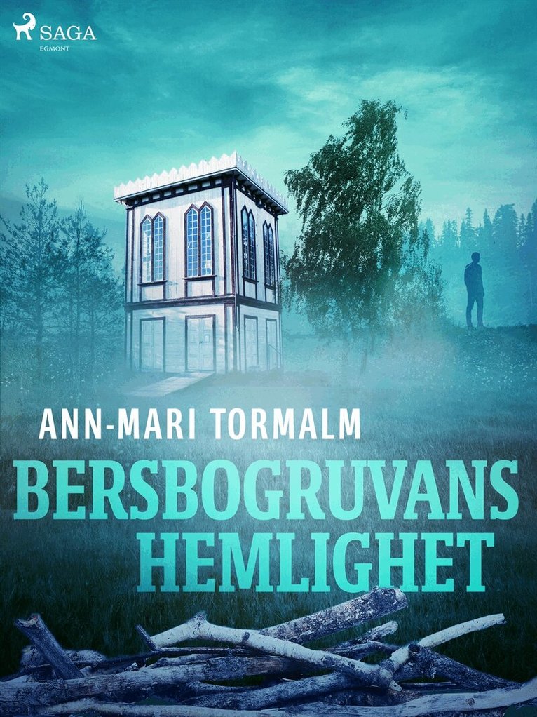 Ann-Mari Tormalm - Bersbogruvans hemlighet, E-bok