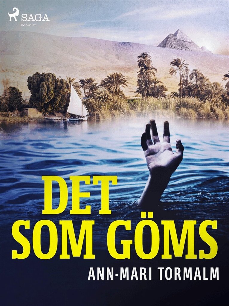 Ann-Mari Tormalm - Det som göms, E-bok