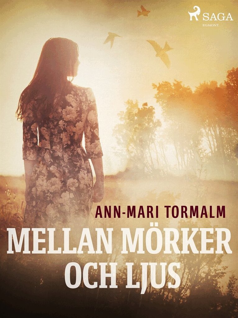 Ann-Mari Tormalm - Mellan mörker och ljus, E-bok