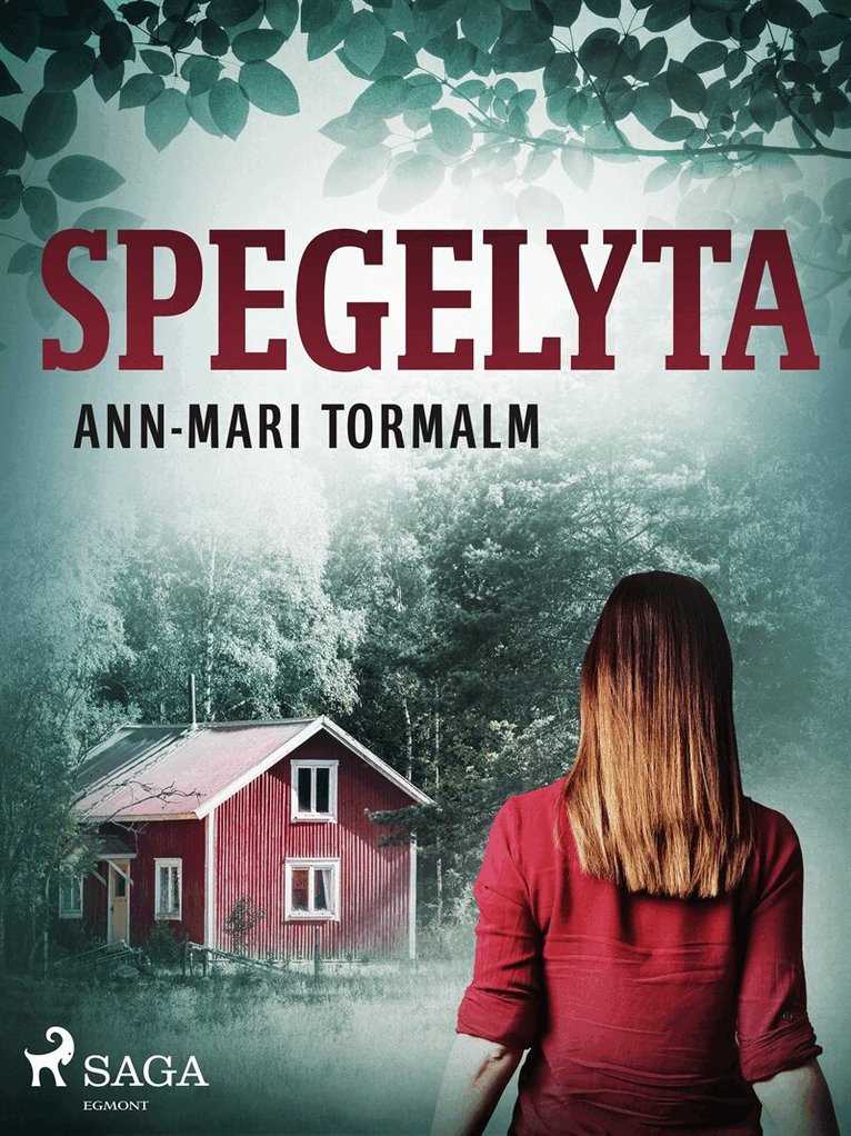 Ann-Mari Tormalm - Spegelyta, E-bok
