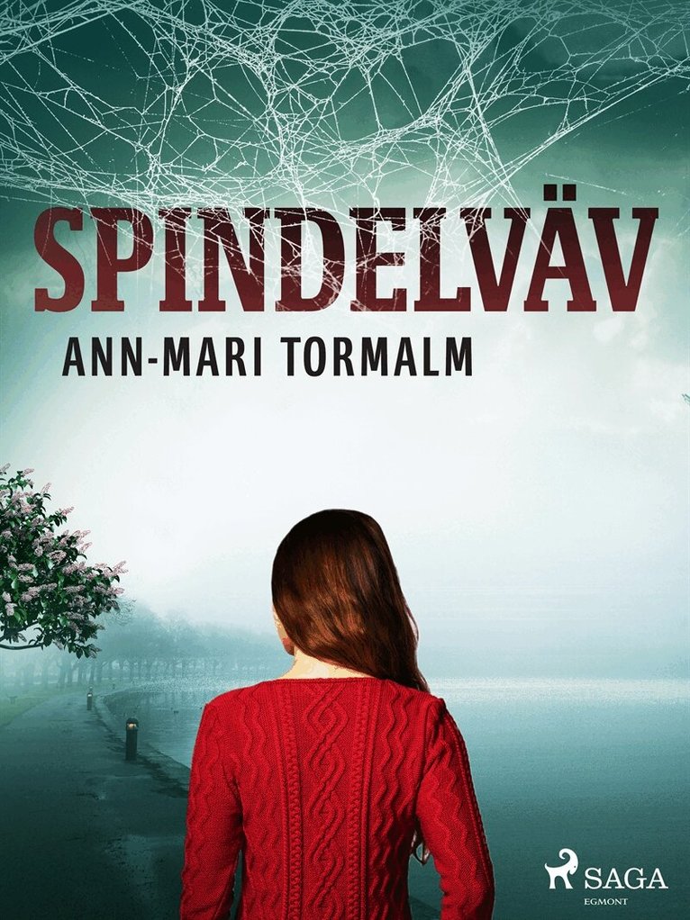 Ann-Mari Tormalm - Spindelväv, E-bok