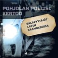 Salapyytjt Lapin kaamoksessa