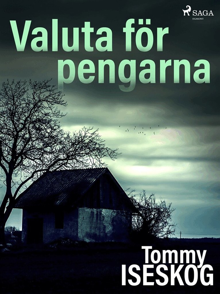 Tommy Iseskog - Valuta för pengarna, E-bok