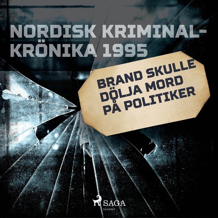 Diverse - Brand skulle dölja mord på politiker, Ljudbok