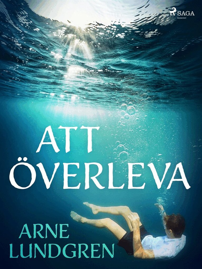 Arne Lundgren - Att överleva, E-bok