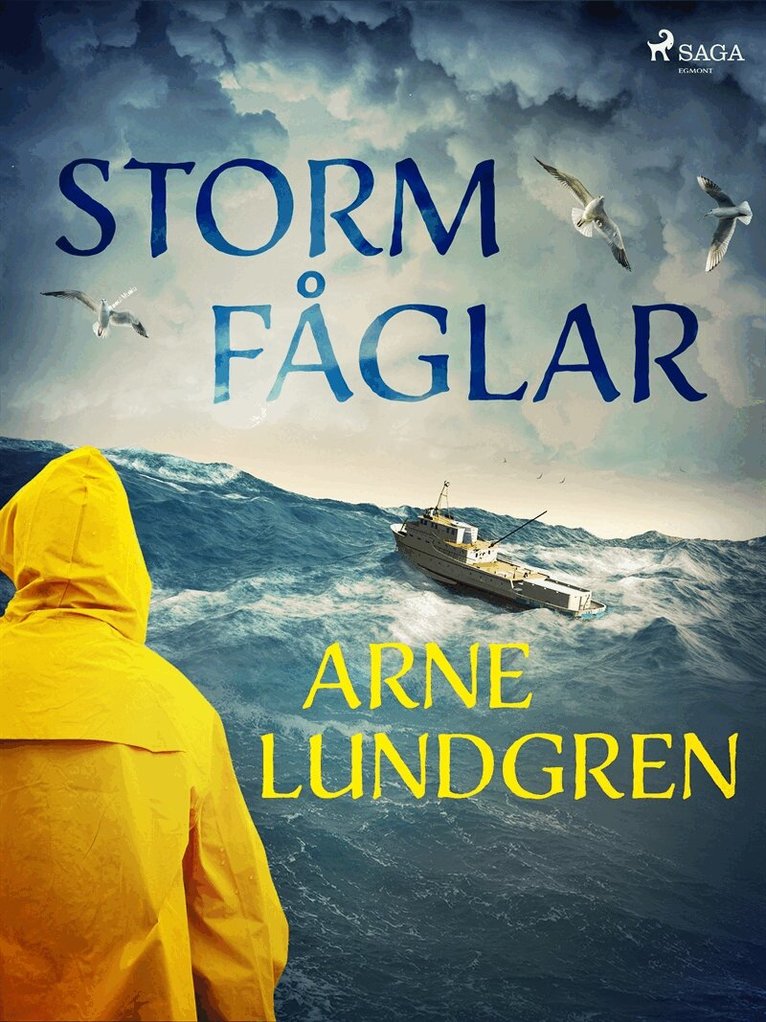 Arne Lundgren - Stormfåglar, E-bok