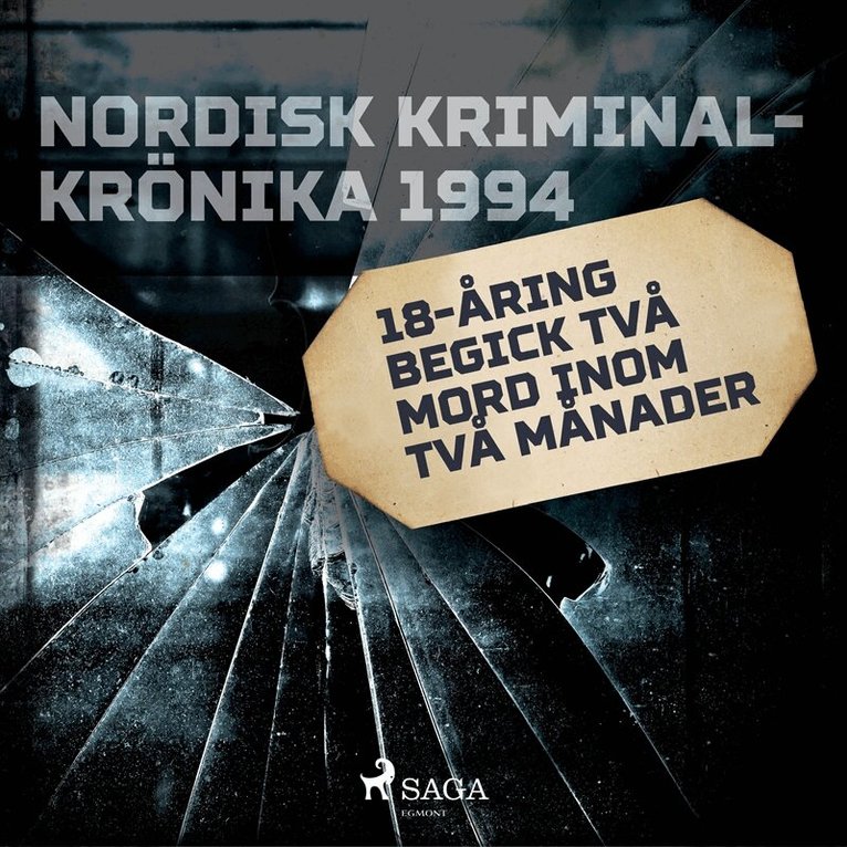 Diverse - 18-åring begick två mord inom två månader, Ljudbok