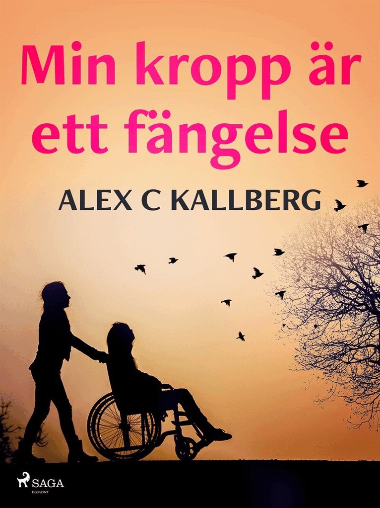 Alex C Kallberg - Min kropp är ett fängelse, E-bok