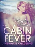 Cabin Fever 4: Painting a Picture
