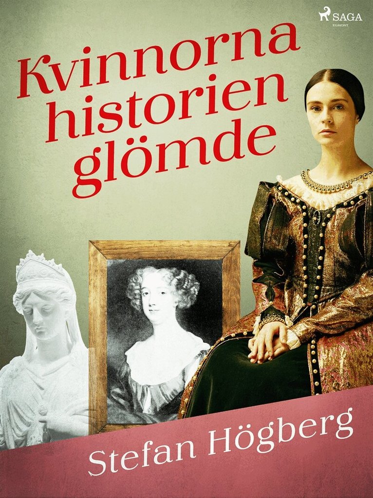 Stefan Högberg - Kvinnorna historien glömde, E-bok