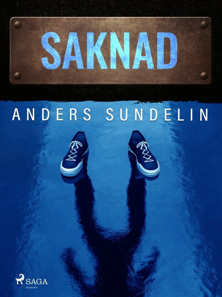 Anders Sundelin - Saknad, E-bok
