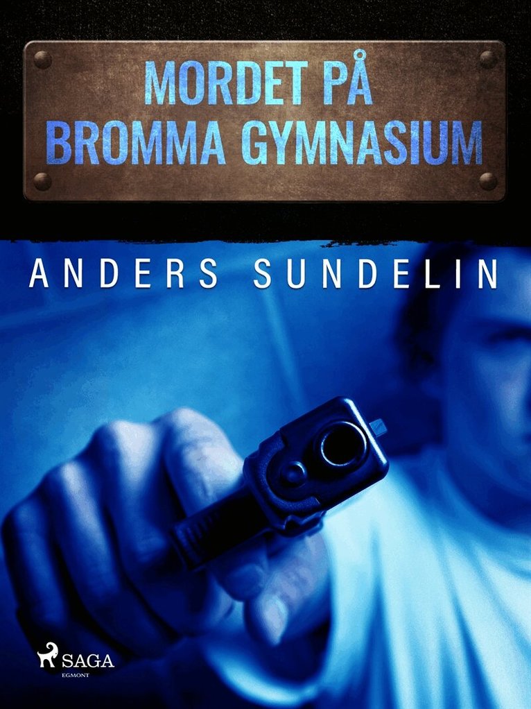 Anders Sundelin - Mordet på Bromma gymnasium, E-bok