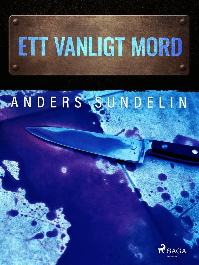 Anders Sundelin - Ett vanligt mord, E-bok
