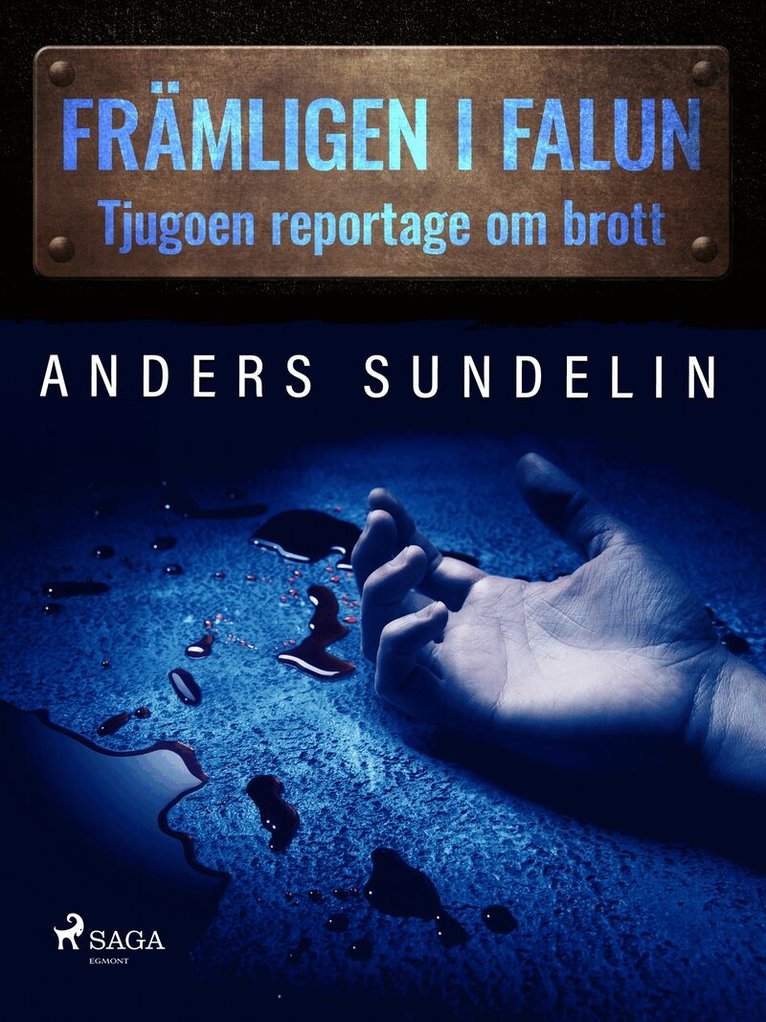 Anders Sundelin - Främlingen i Falun: tjugoen reportage om brott, E-bok