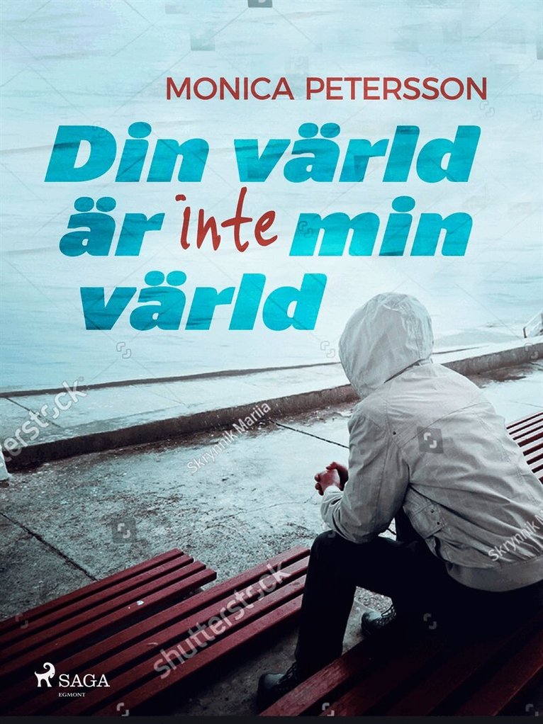 Monica Petersson - Din värld är inte min värld, E-bok