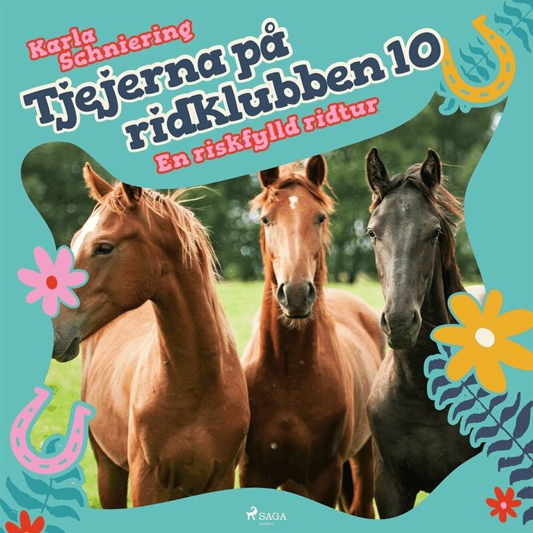 Karla Schniering - Tjejerna på ridklubben 10 - En riskfylld ridtur, Ljudbok