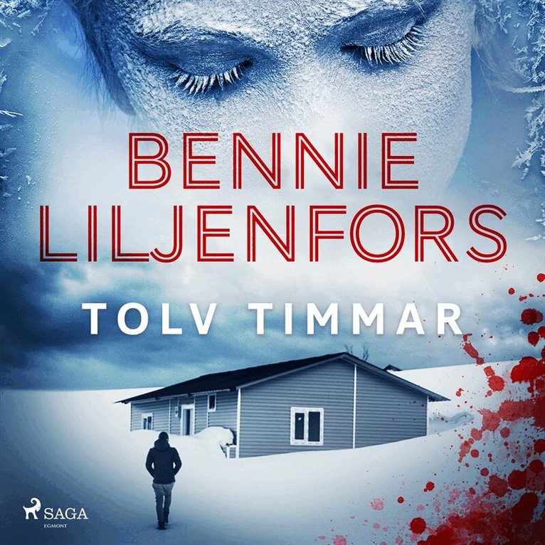 Bennie Liljenfors - Tolv timmar, Ljudbok