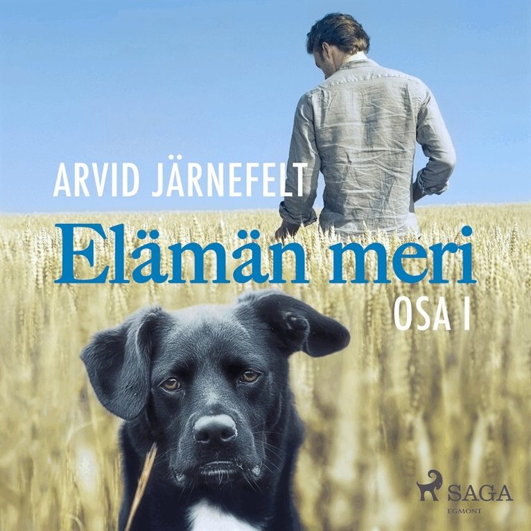 Arvid Järnefelt - Elämän meri, osa 1, Ljudbok