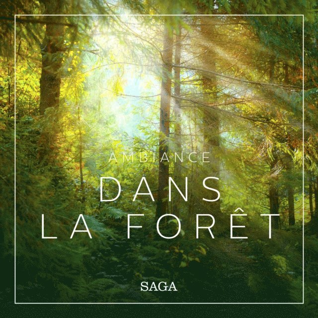 Broe - Ambiance - Dans la forêt, Ljudbok