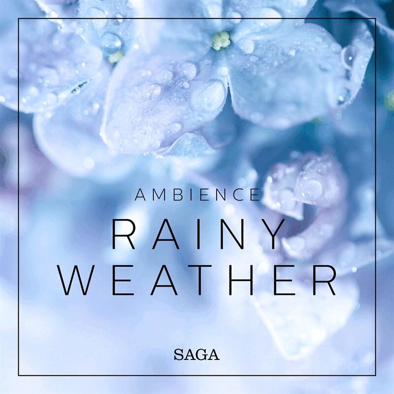 Rasmus Broe - Ambience - Rainy Weather, Ljudbok