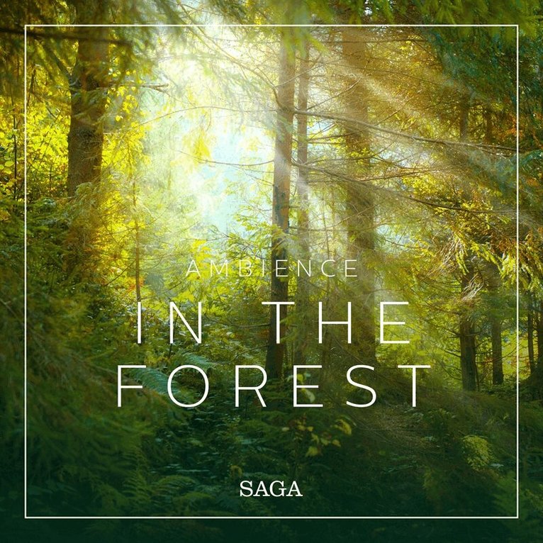 Rasmus Broe - Ambience - In the Forest, Ljudbok