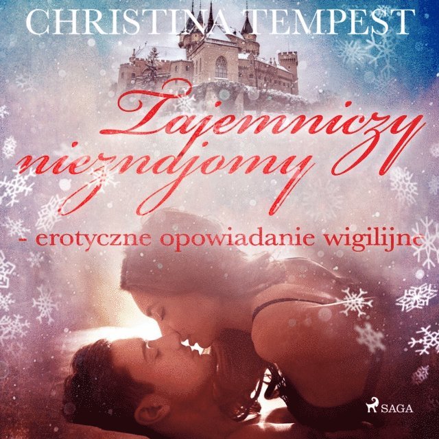 Tempest - Tajemniczy nieznajomy - erotyczne opowiadanie wigilijne, Ljudbok