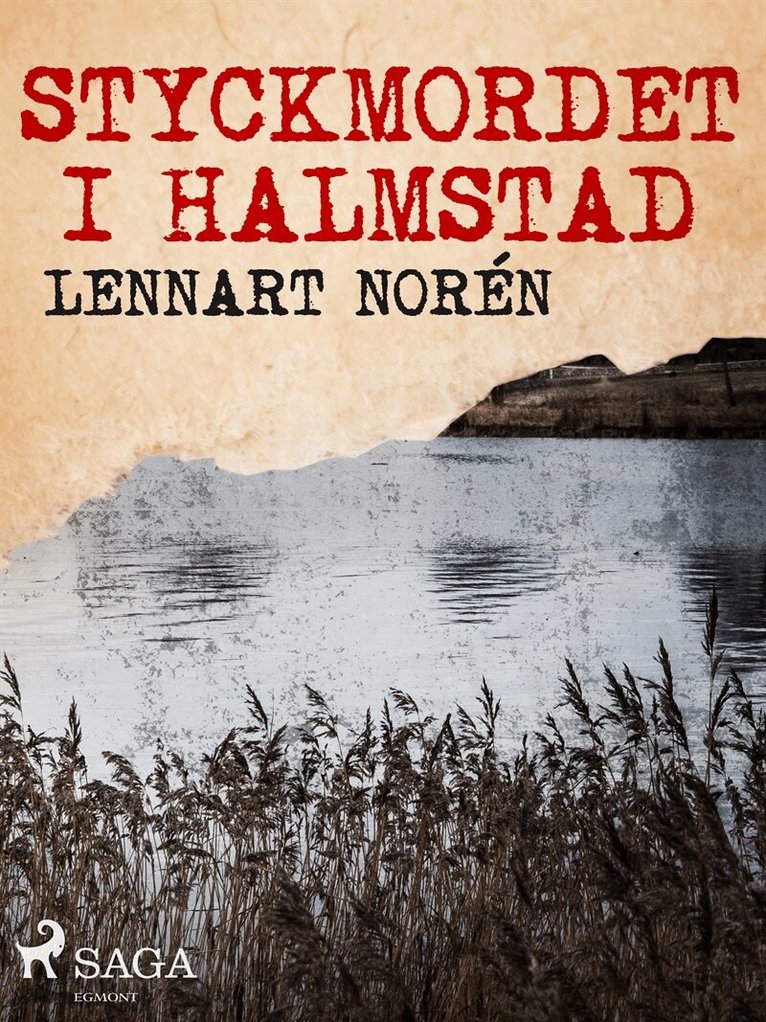 Lennart Norén - Styckmordet i Halmstad, E-bok