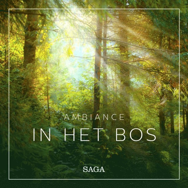 Broe - Ambiance â€“ In het Bos, Ljudbok. Tillgänglighet: Lägg i varukorg
