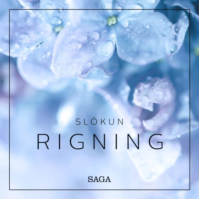 Broe - Slökun - Rigning, Ljudbok