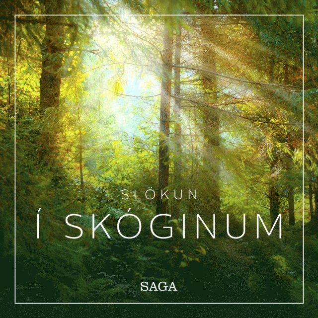 Broe - Slökun - Í skóginum, Ljudbok