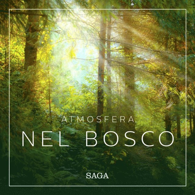 Broe - Atmosfera - Nel bosco, Ljudbok. Tillgänglighet: Lägg i varukorg