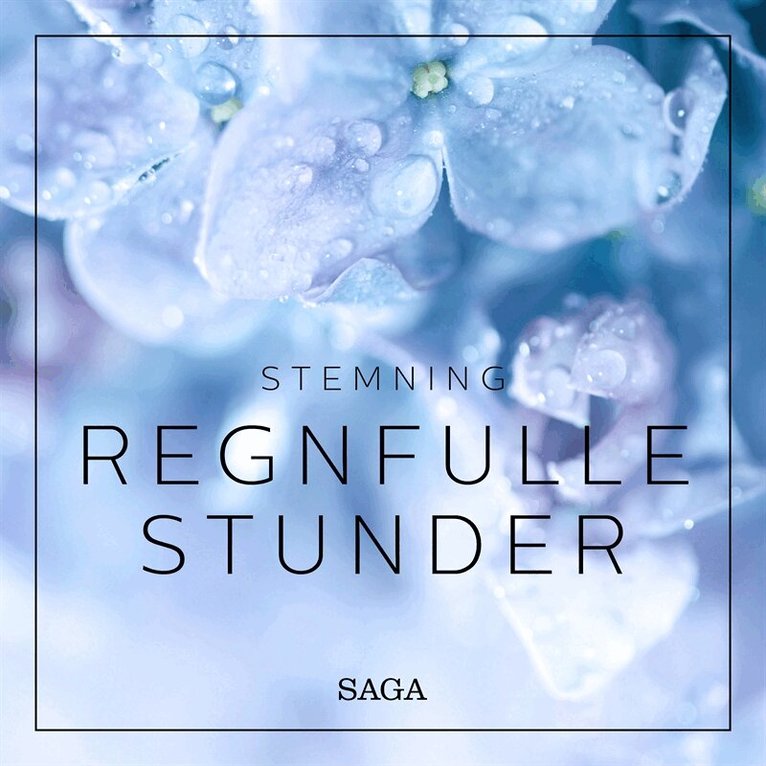 Rasmus Broe - Stemning - Regnfulle stunder, Ljudbok