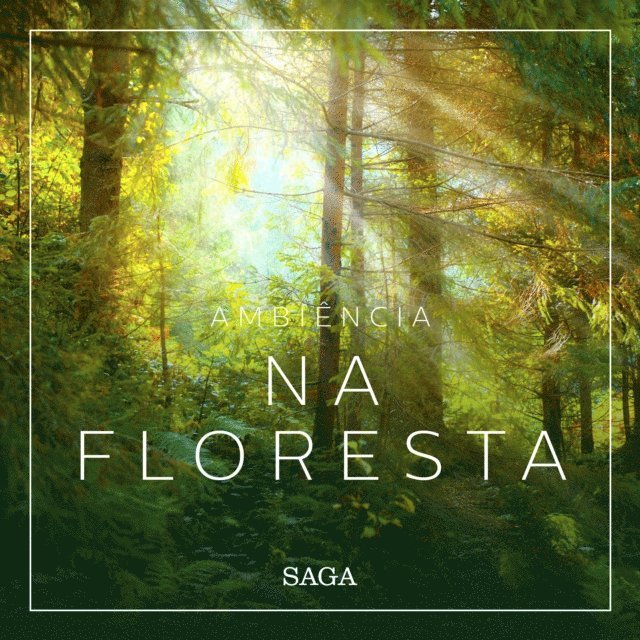 Broe - Ambiência - Na Floresta, Ljudbok
