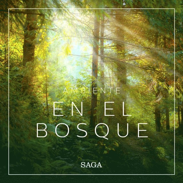 Broe - Ambiente - En el bosque, Ljudbok. Tillgänglighet: Lägg i varukorg
