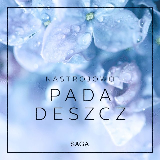 Broe - Nastrojowo - Pada deszcz, Ljudbok. Tillgänglighet: Lägg i varukorg