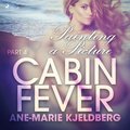 Cabin Fever 4: Painting a Picture
