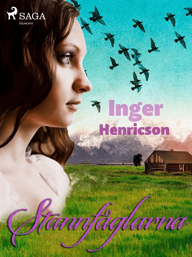 Inger Henricson - Stannfåglarna, E-bok