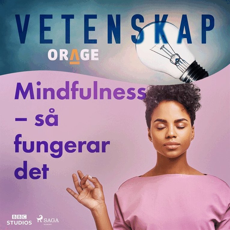 Orage - Mindfulness – så fungerar det, Ljudbok