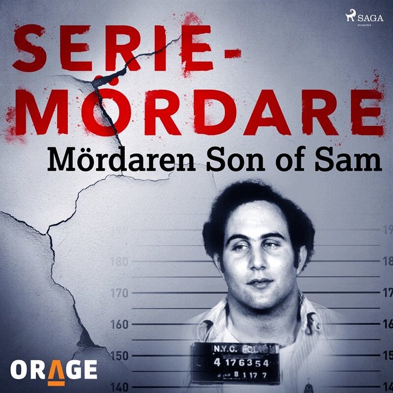 Orage - Mördaren Son of Sam, Ljudbok