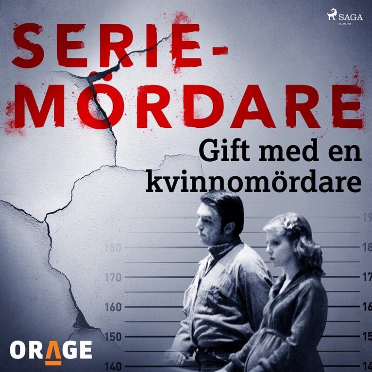 Orage - Gift med en kvinnomördare, Ljudbok
